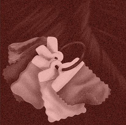 Medical illustration