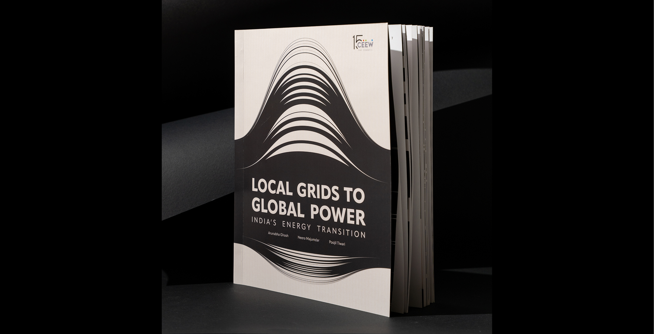 CEEW Data Book