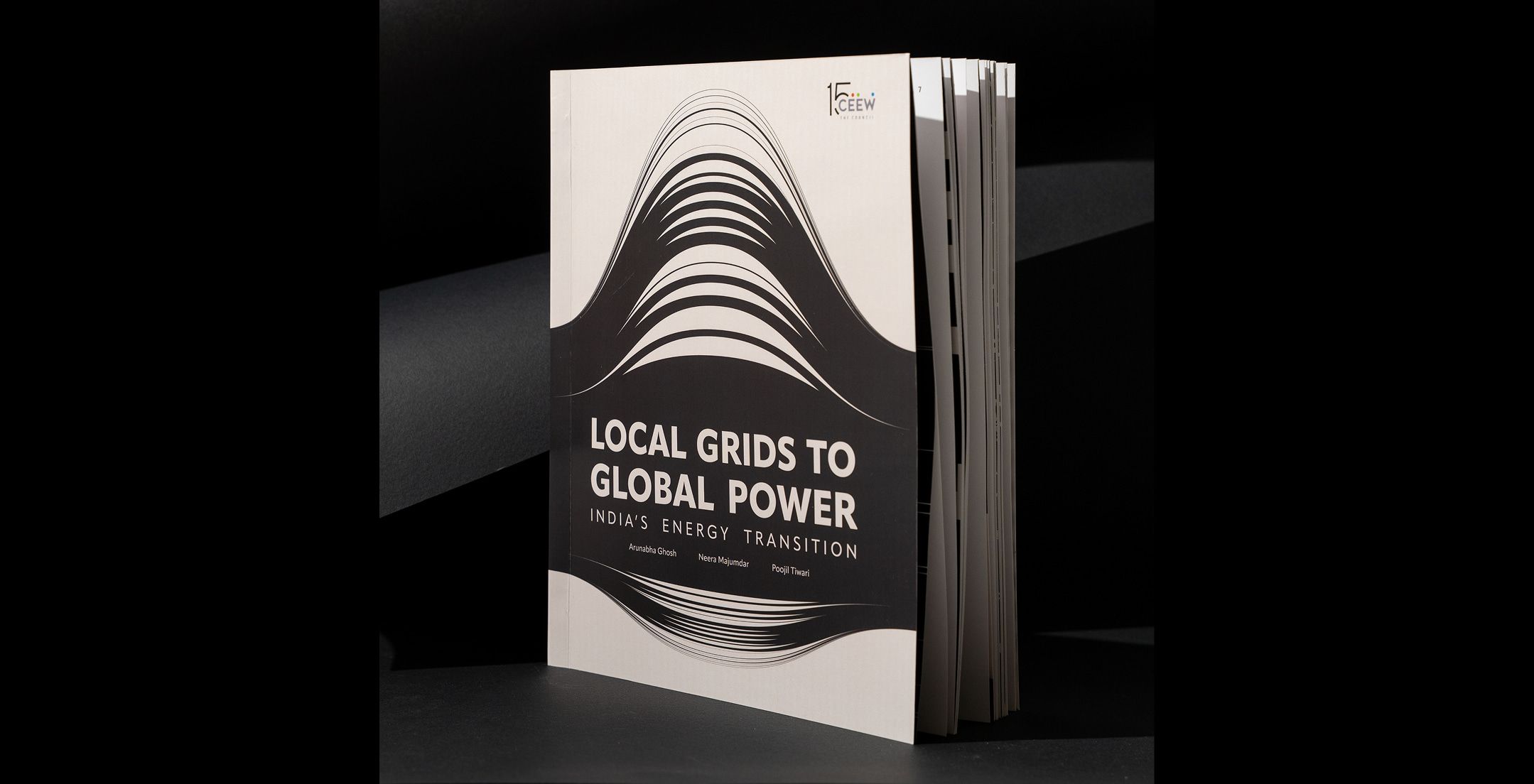 CEEW Data Book