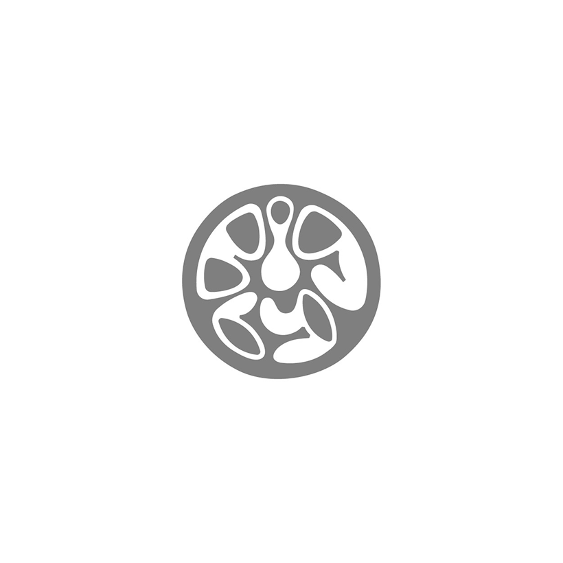 Logo options