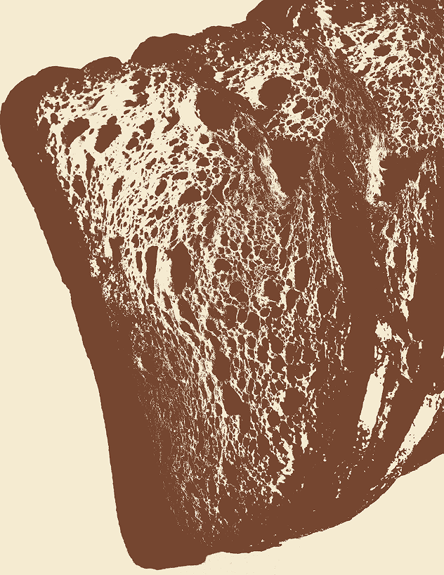 Product textures