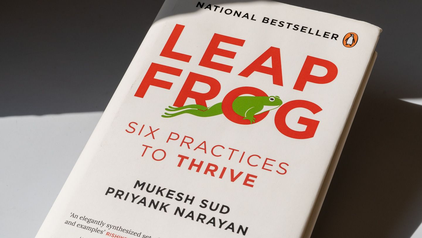 Leap Frog book cover