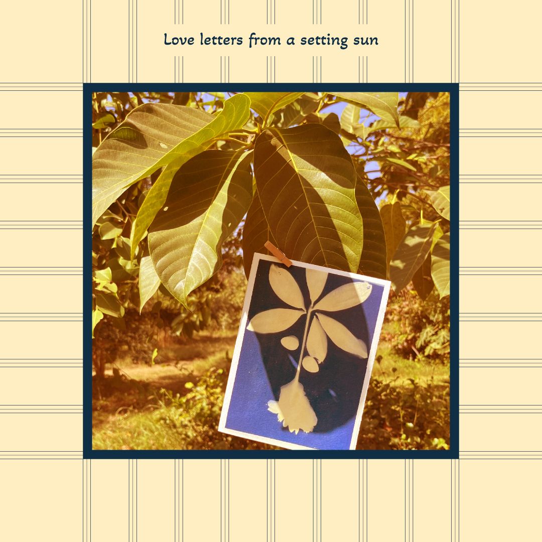 Love Letters From The Setting Sun