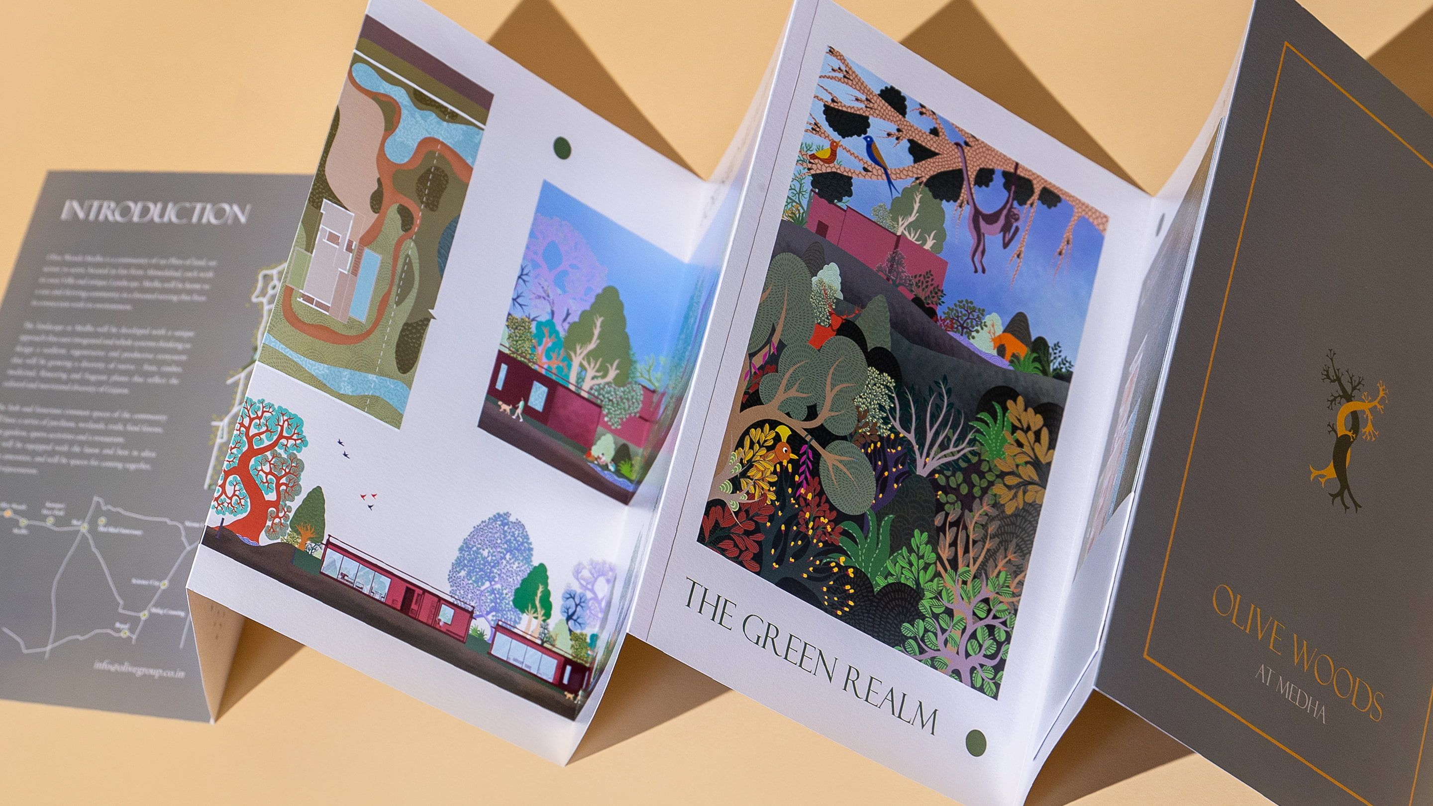 Olive Woods Brochure