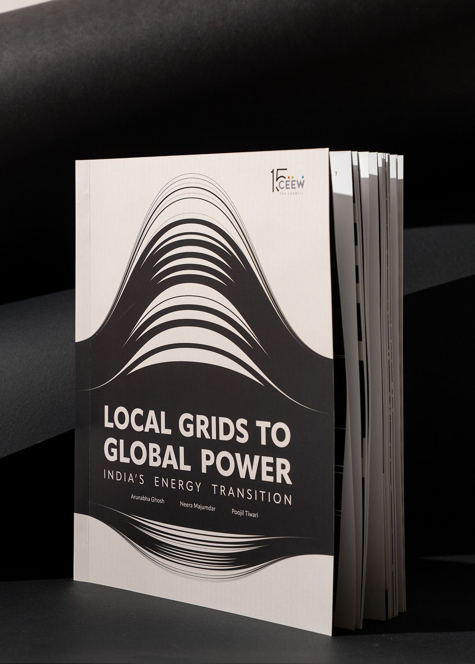 CEEW data book