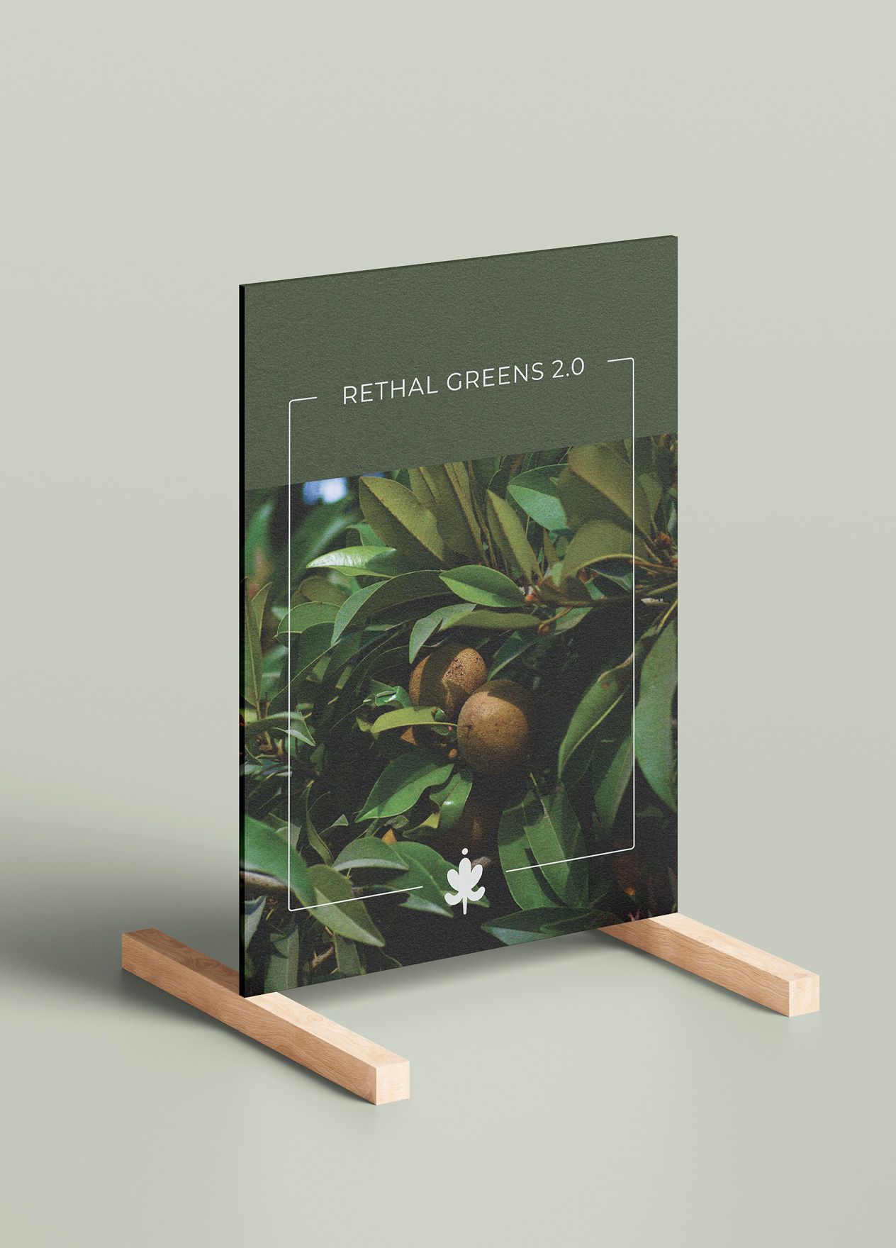 Brochure design for Rethal Greens