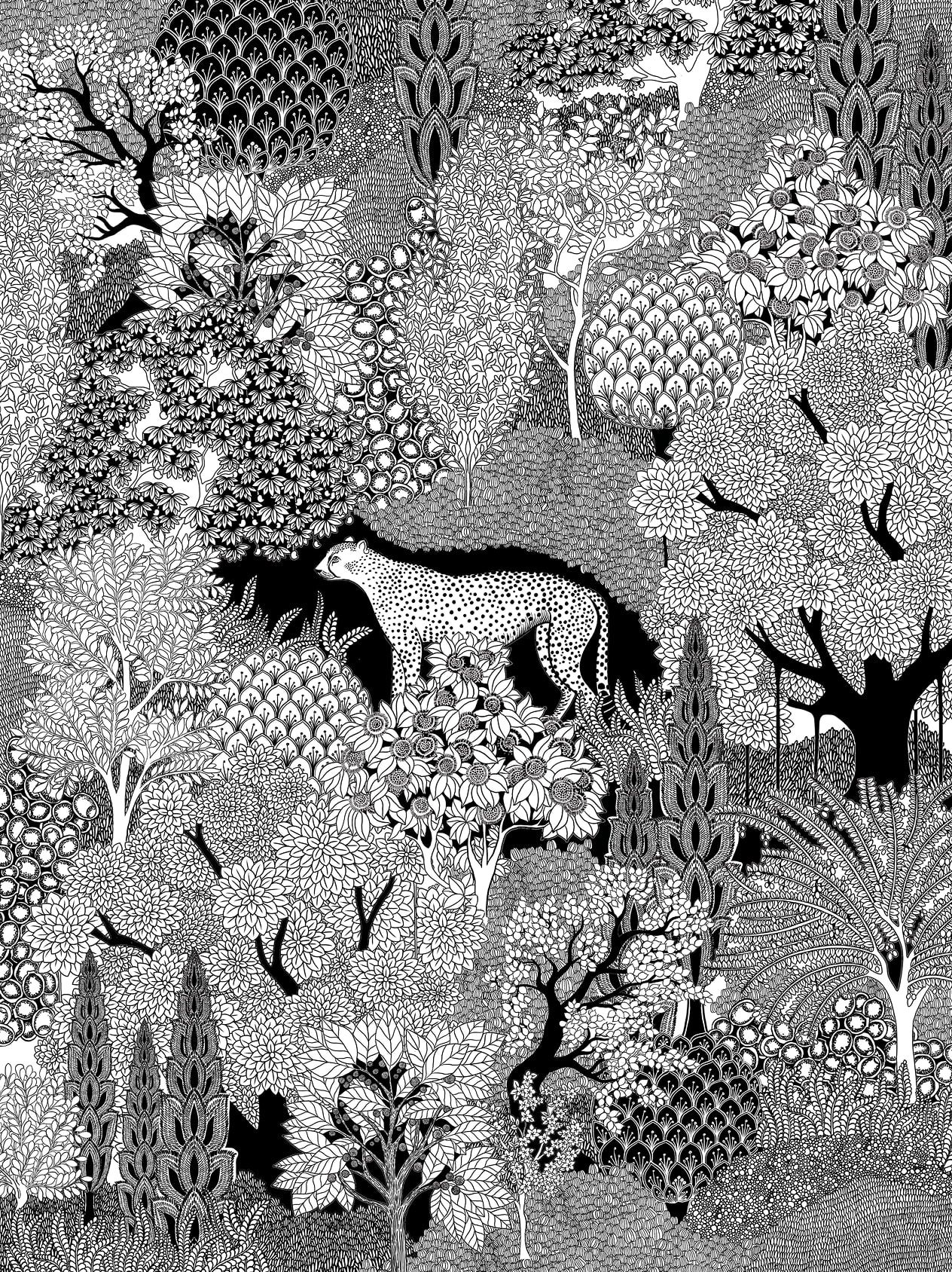 Miniature Illustrations