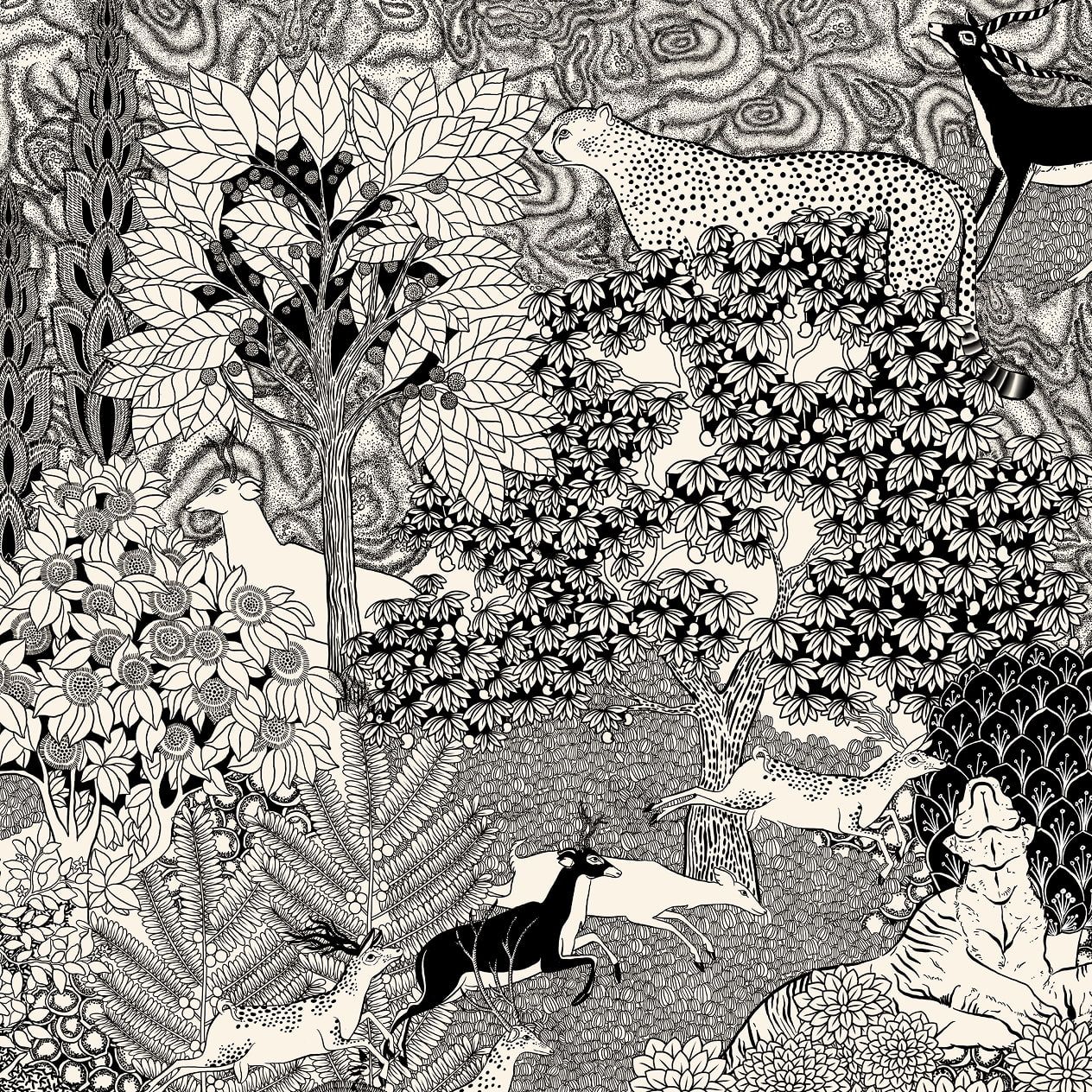 Miniature Illustrations
