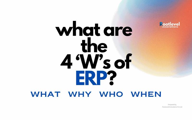 What are the 4 W's of ERP?