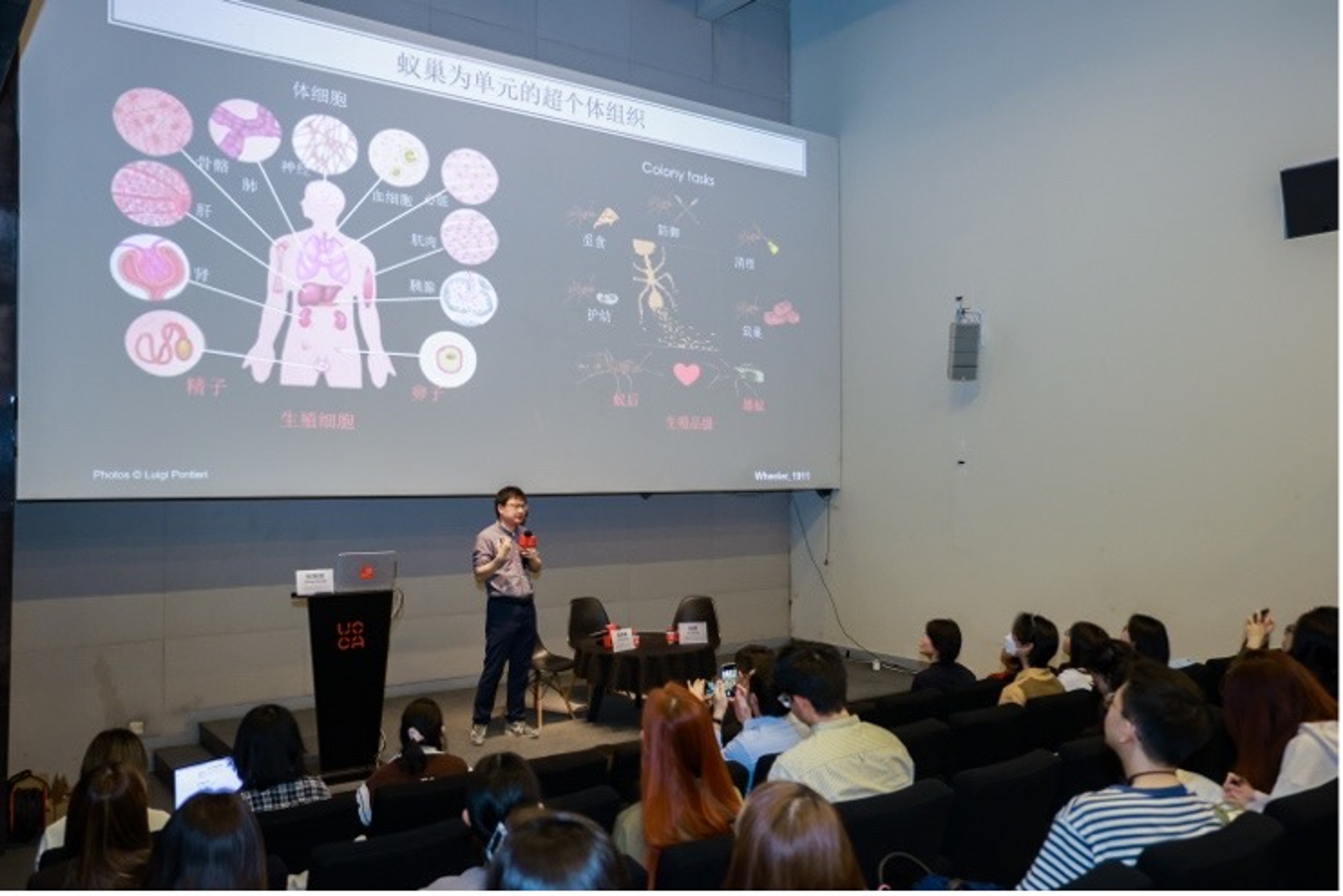 Symbiosis and Temporal Flow