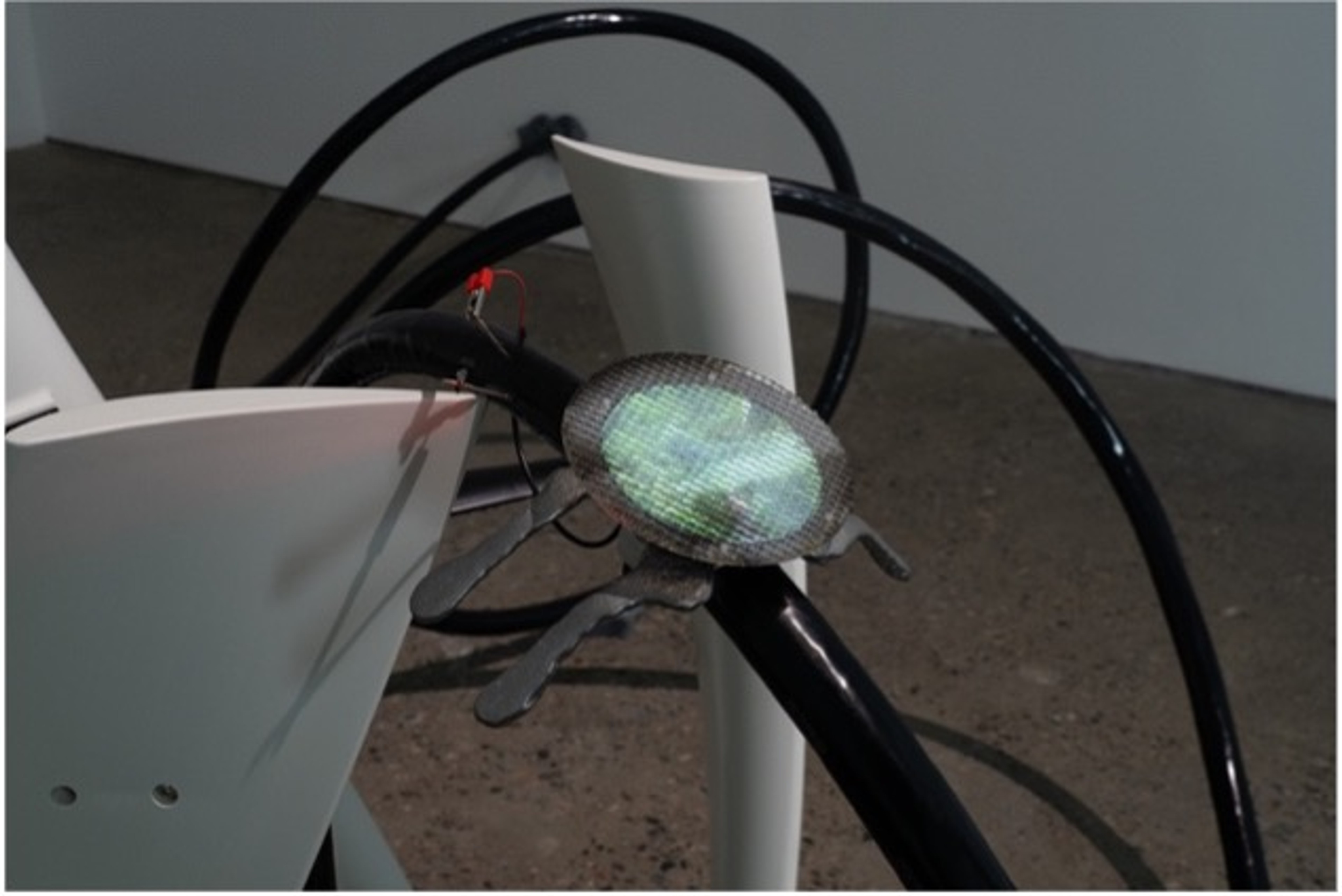 Niche Squatter No.2, Guo Cheng, 2024