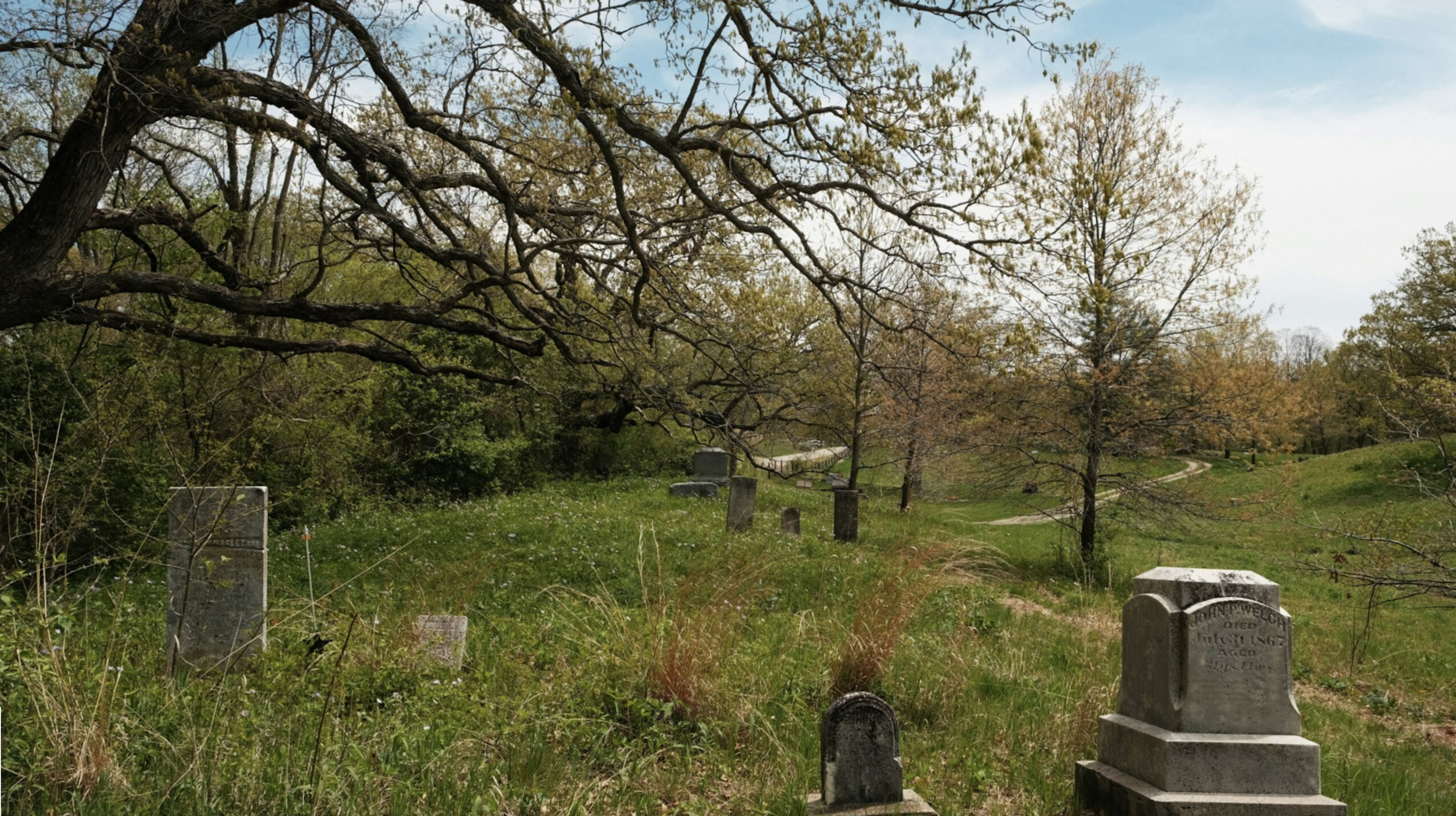 Christian Elliott for Noema Magazine