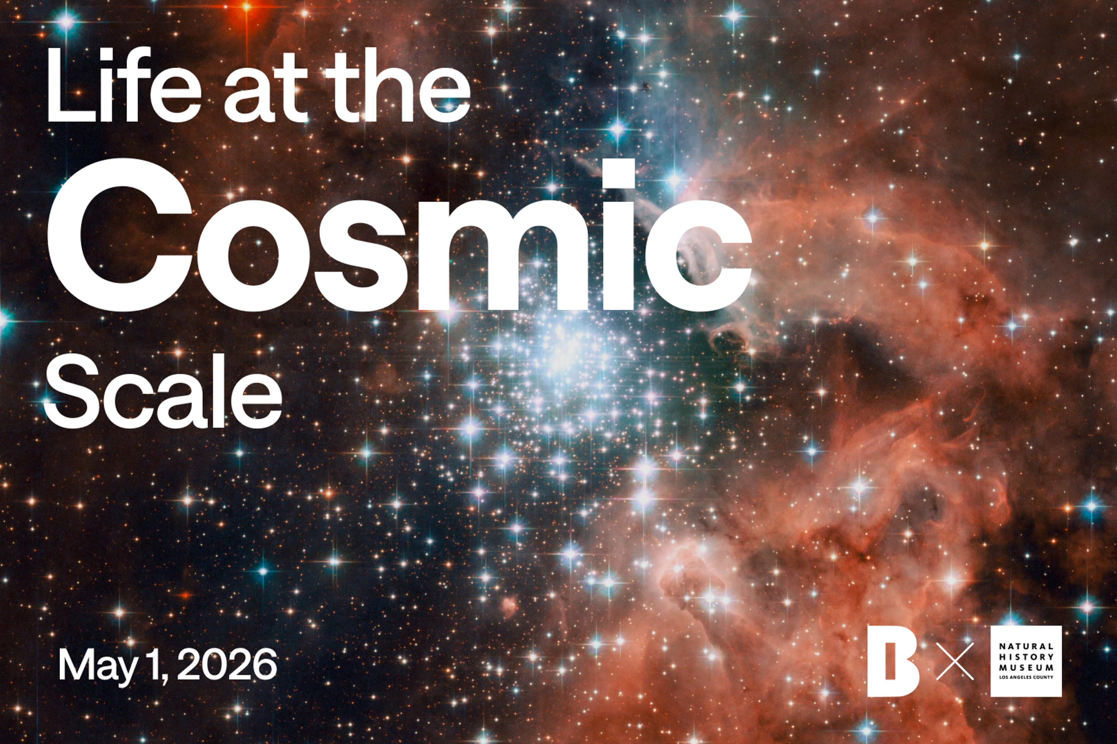 Life at the Cosmic Scale