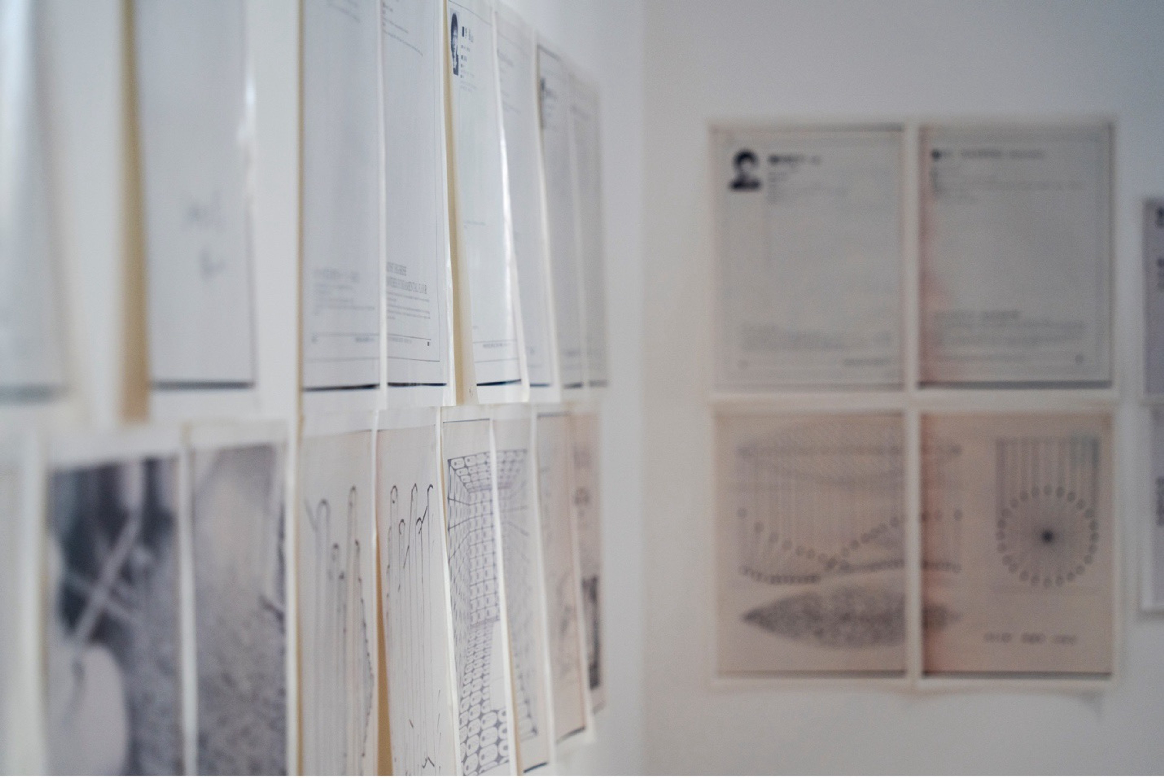 A Working Plan for Chinese Contemporary Artists, 21×29.7cm×111, 1994
