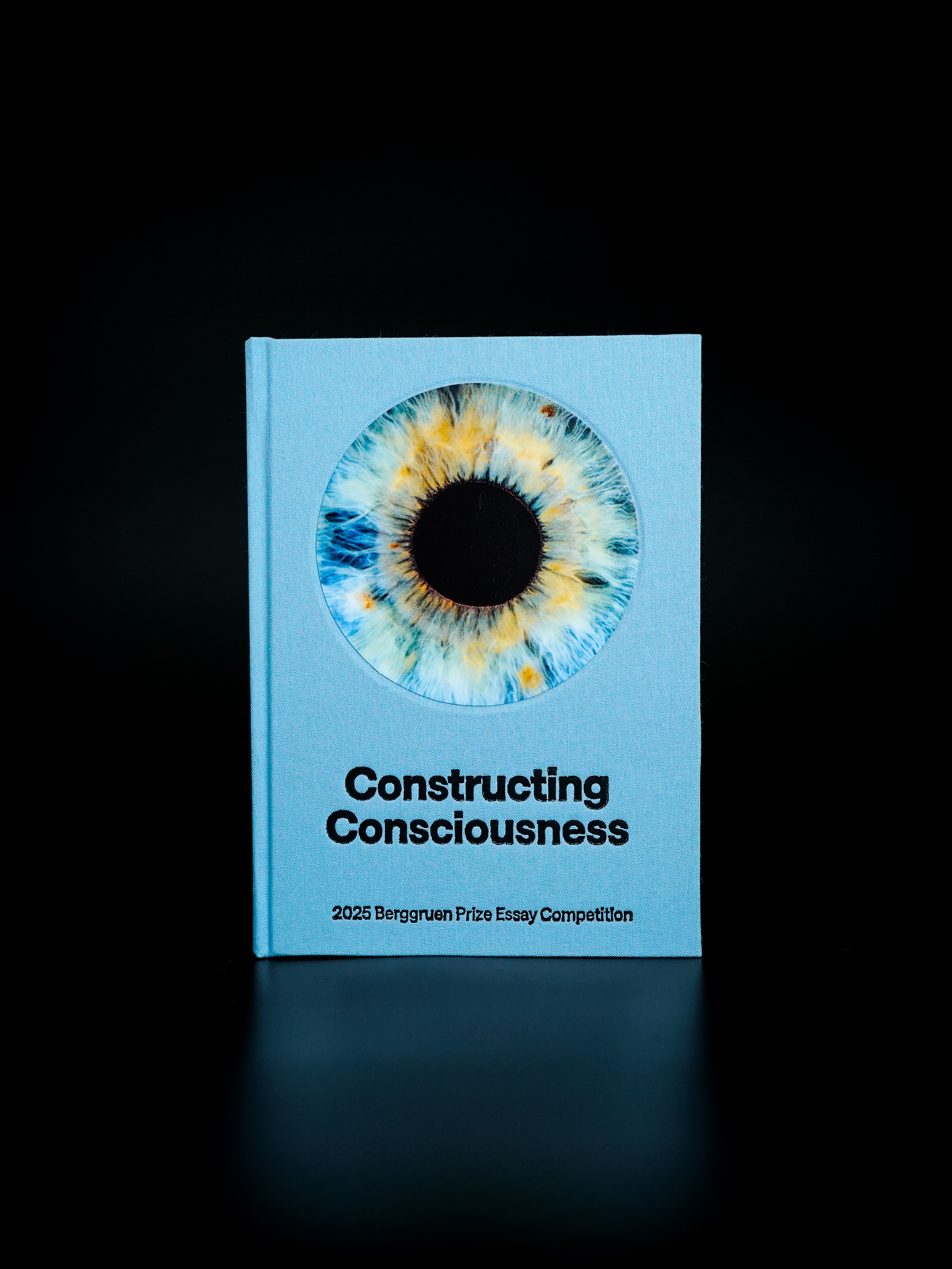 Constructing Consciousness