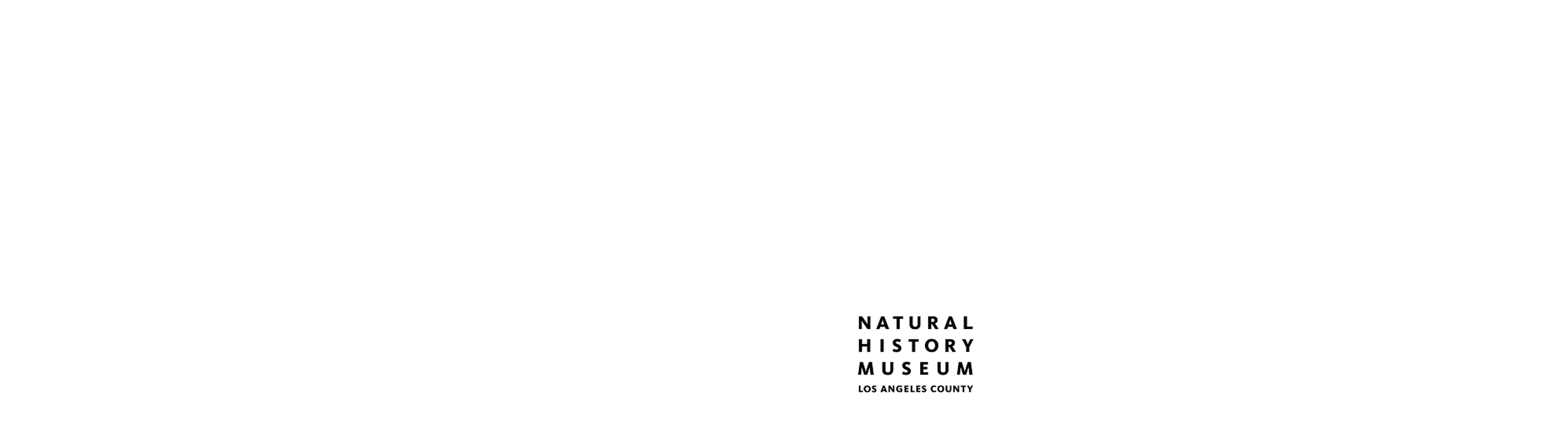 Rethinking the Living World