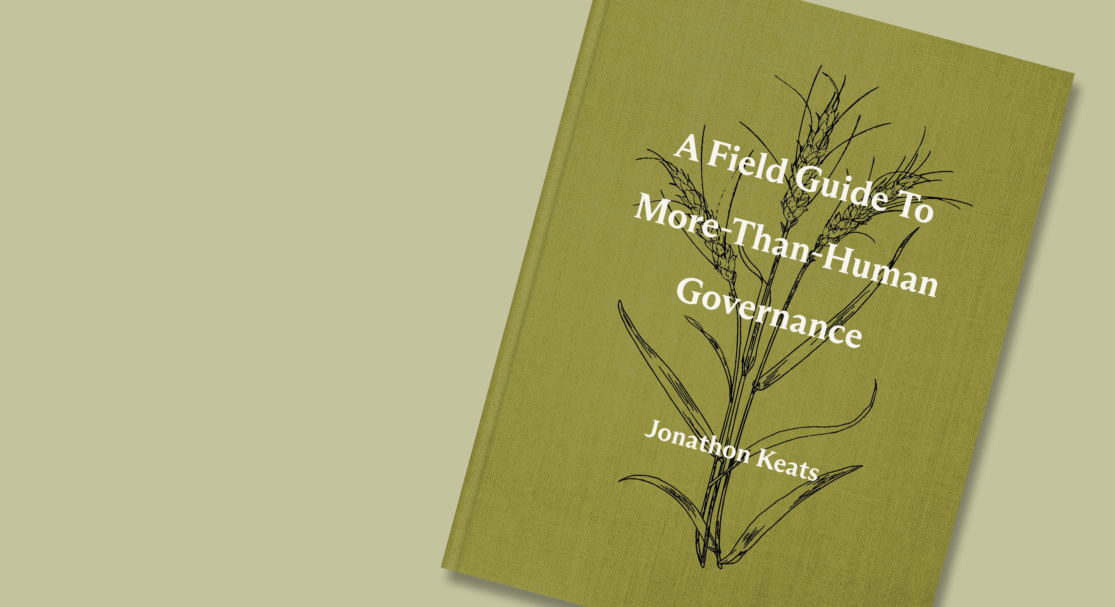 A Field Guide to More-Than-Human Governance