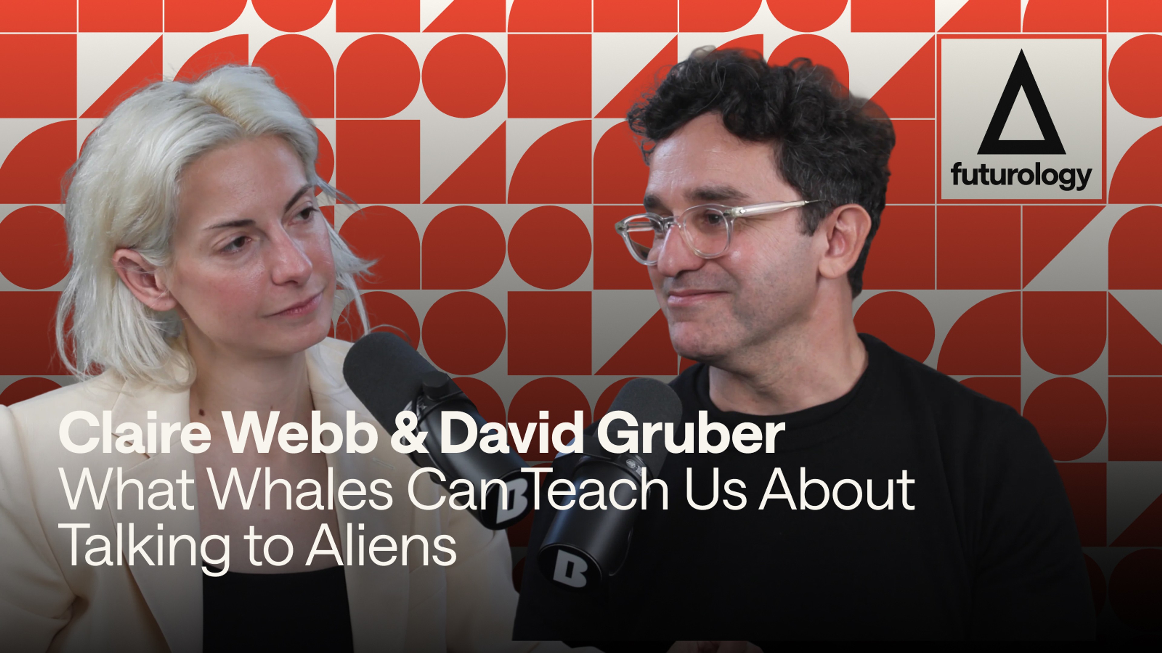 What Whales Can Teach Us About Talking to Aliens (with David Gruber and Claire Webb)