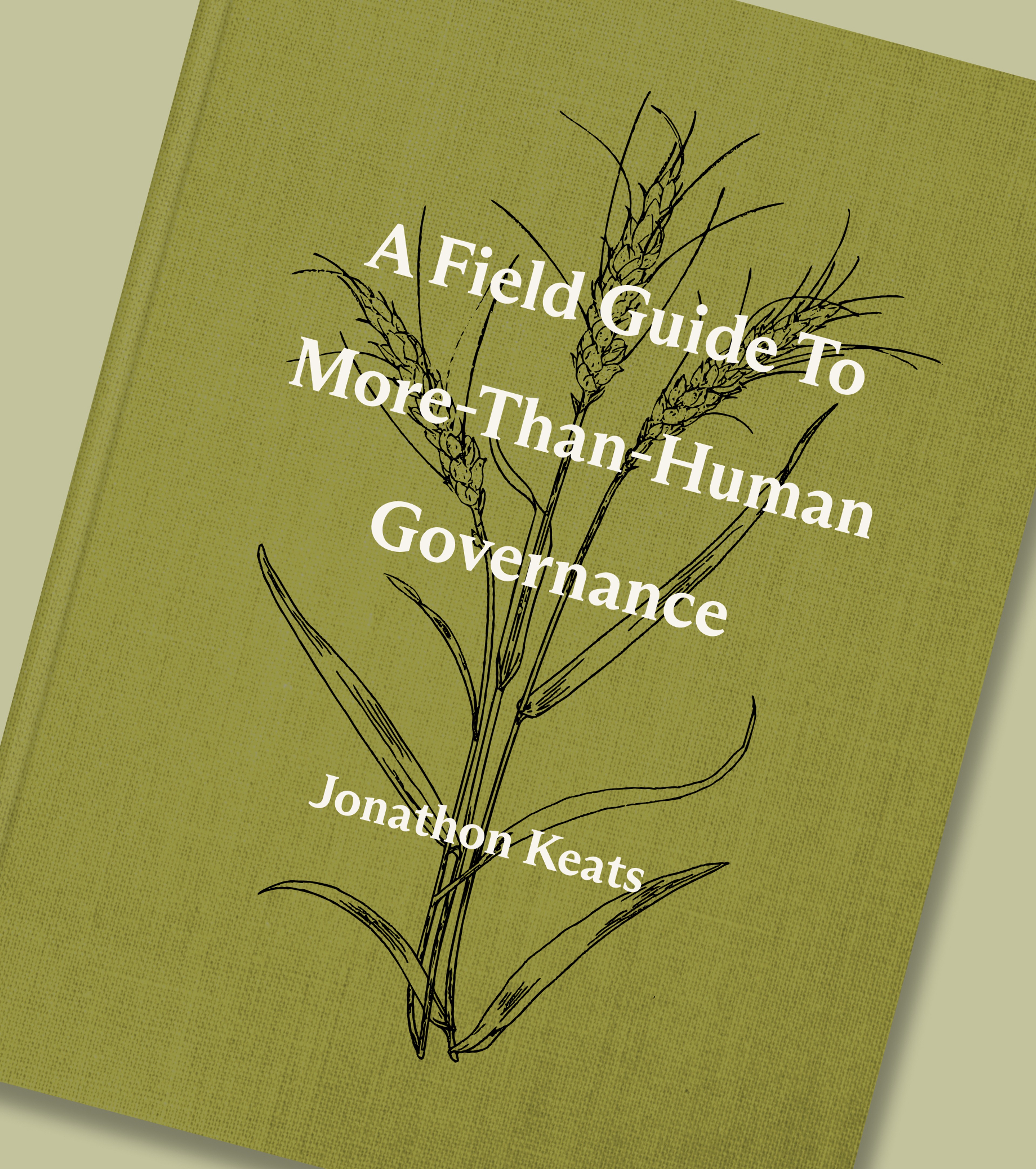 A Field Guide to More-Than-Human Governance