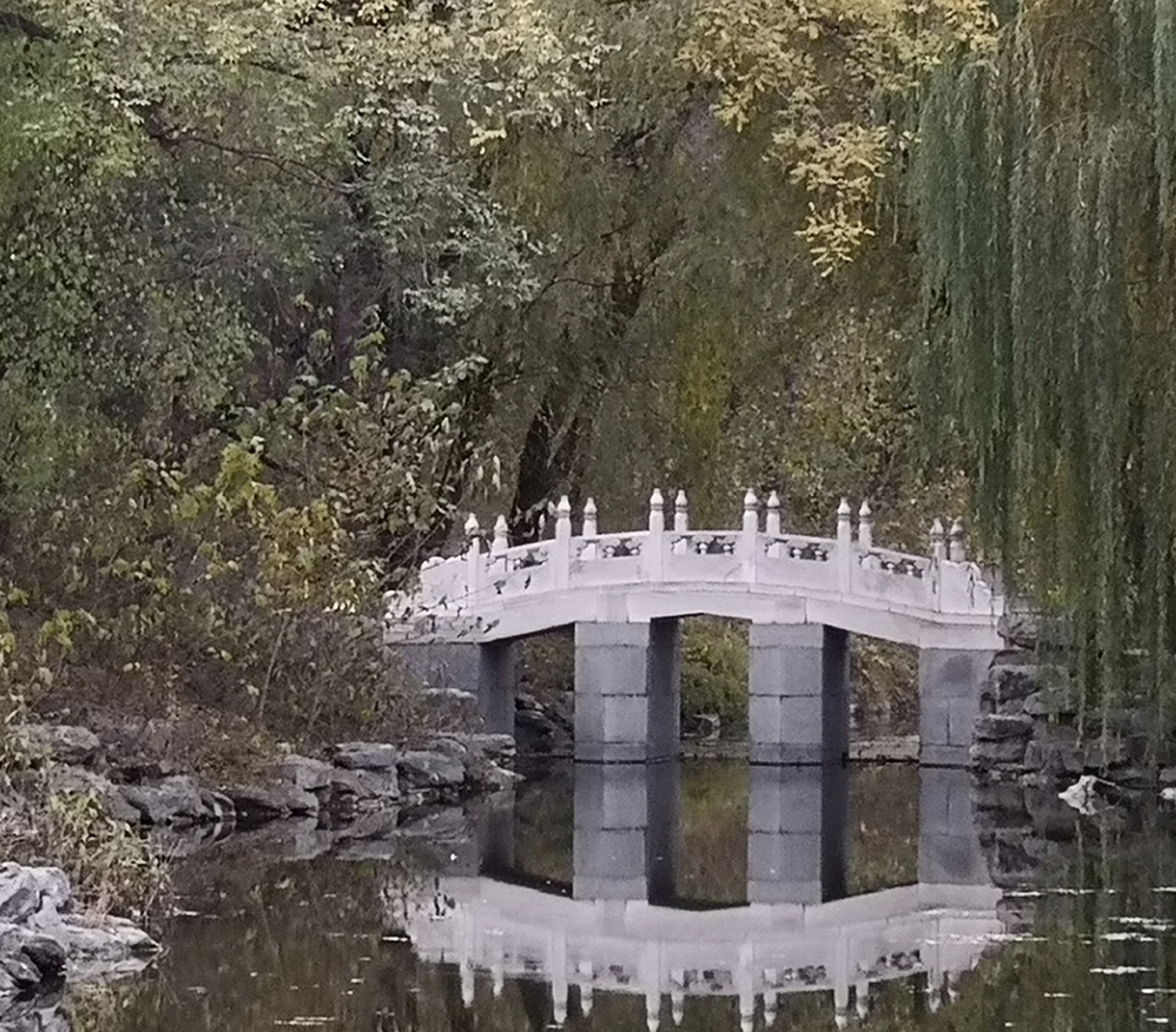 Berggruen Institute China
