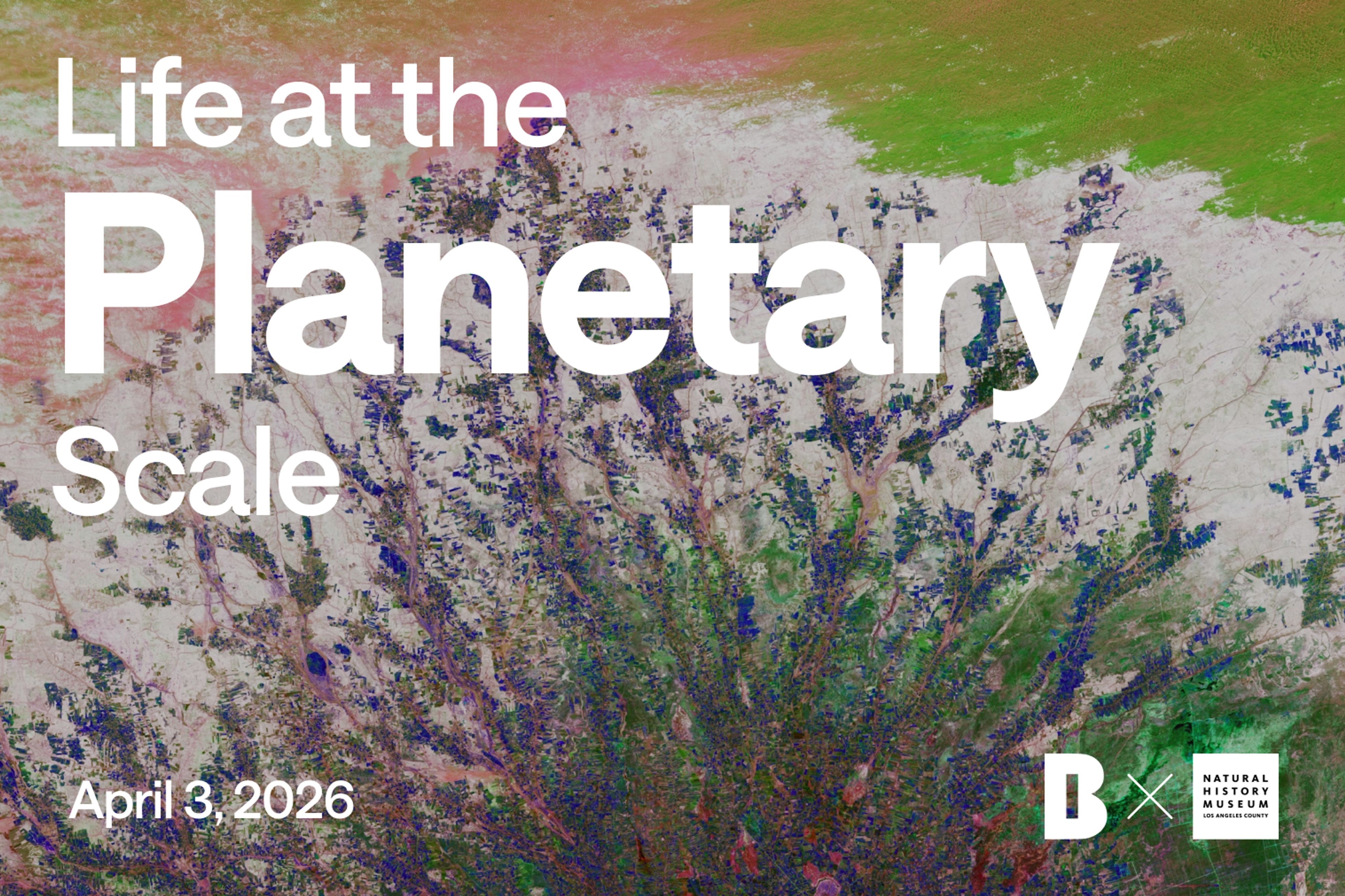 Life at the Planetary Scale