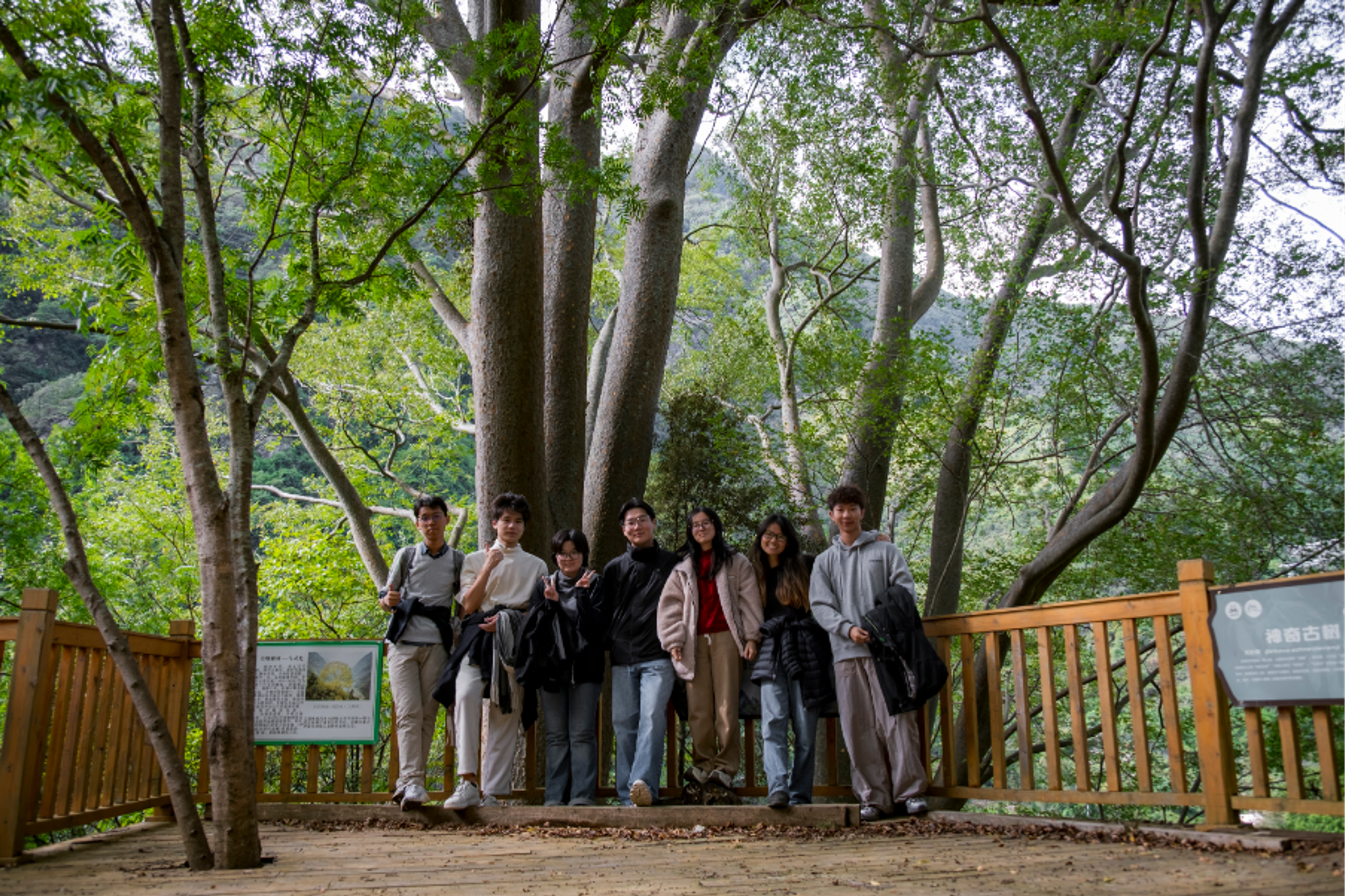 2025—2026 Berggruen Interns