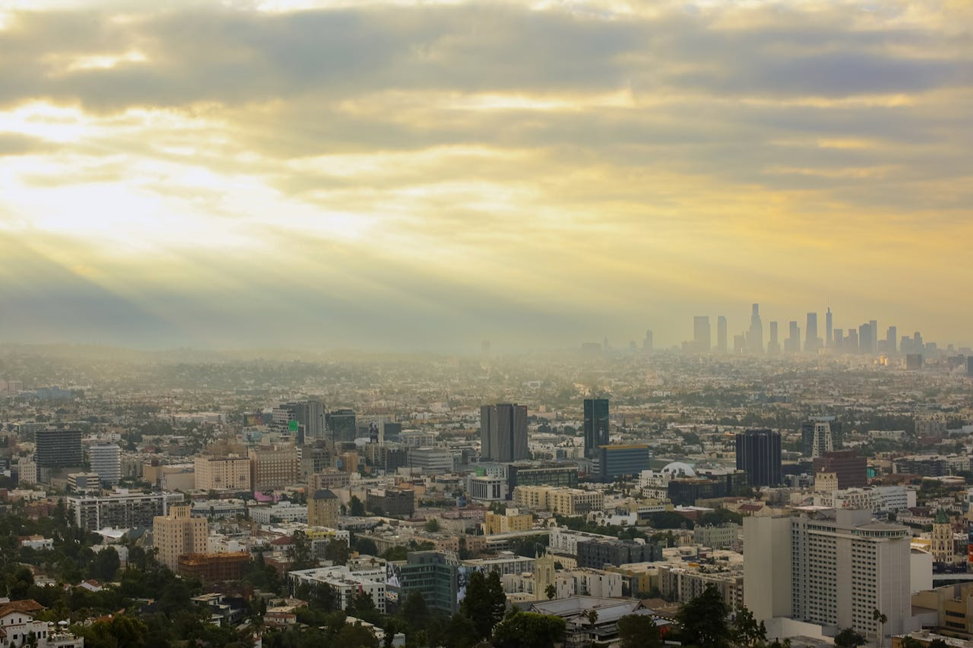 Berggruen Institute Concentration: The LA Wildfires