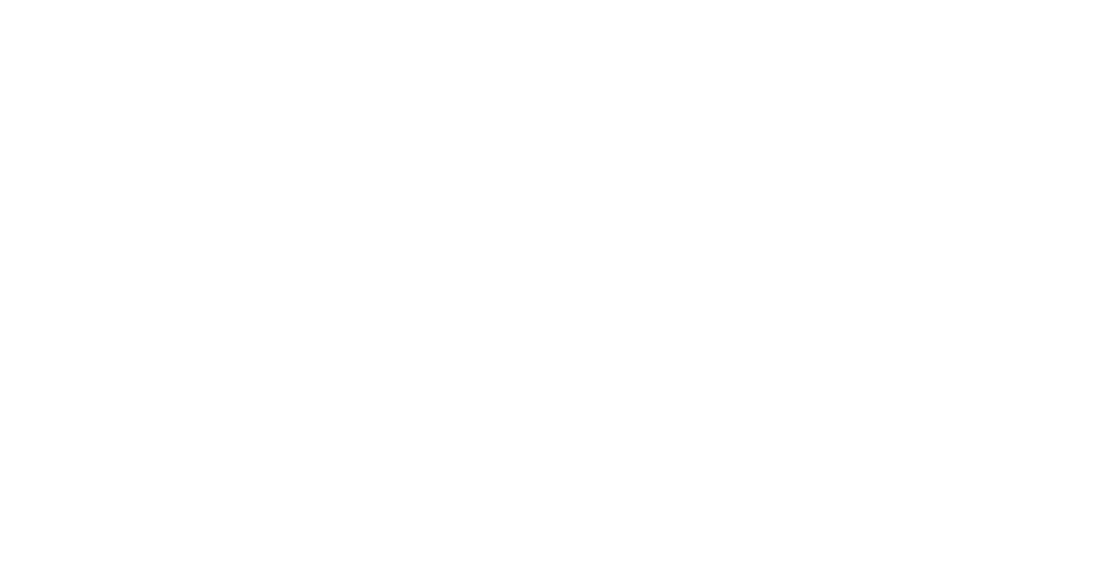 Berggruen Prize Essay Competition