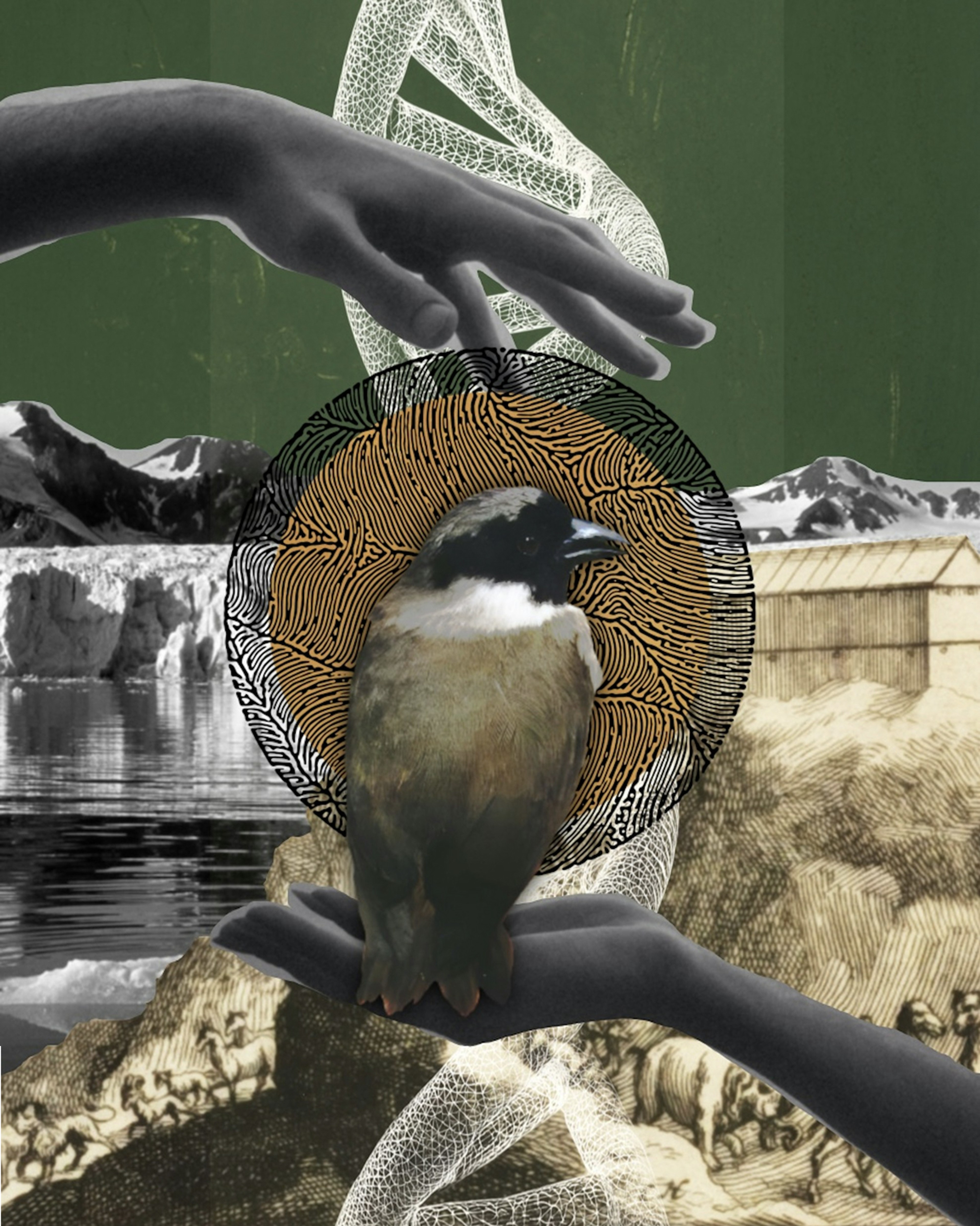 Jonathan Conda for Noema Magazine