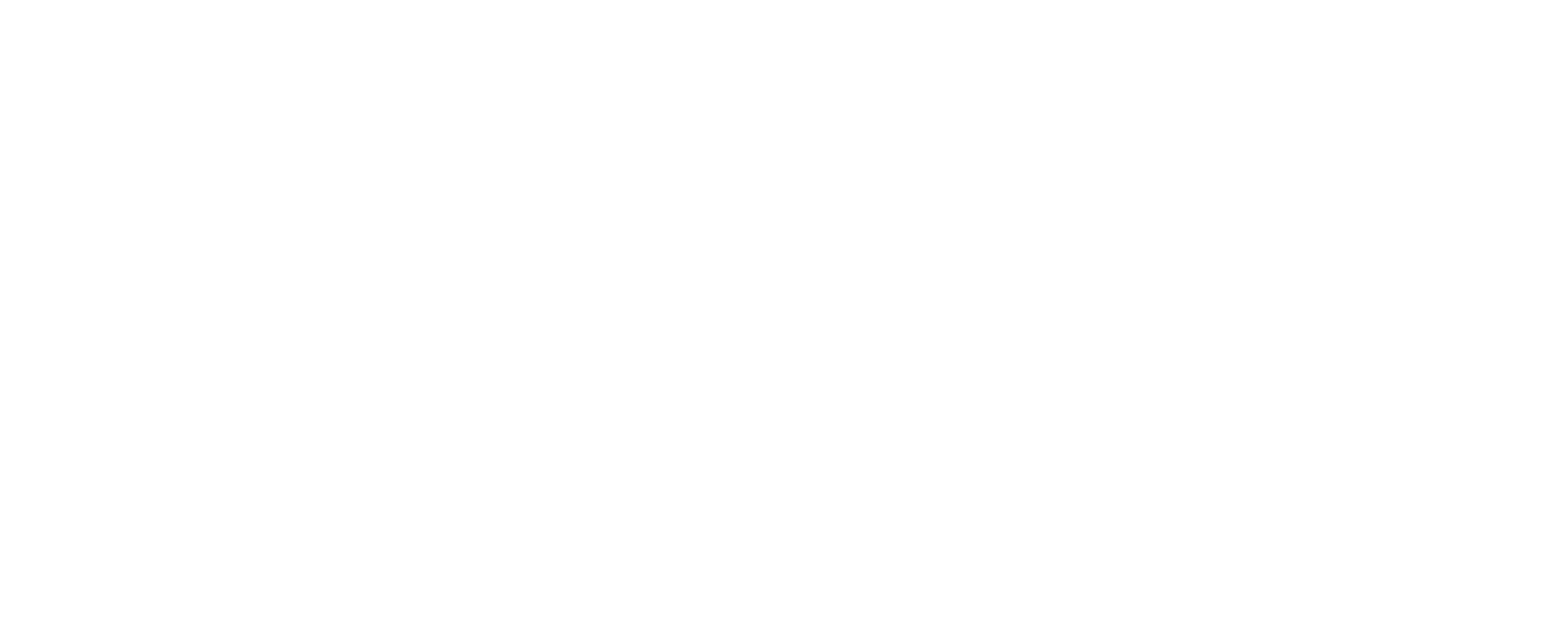 Berggruen Prize Essay Competition
