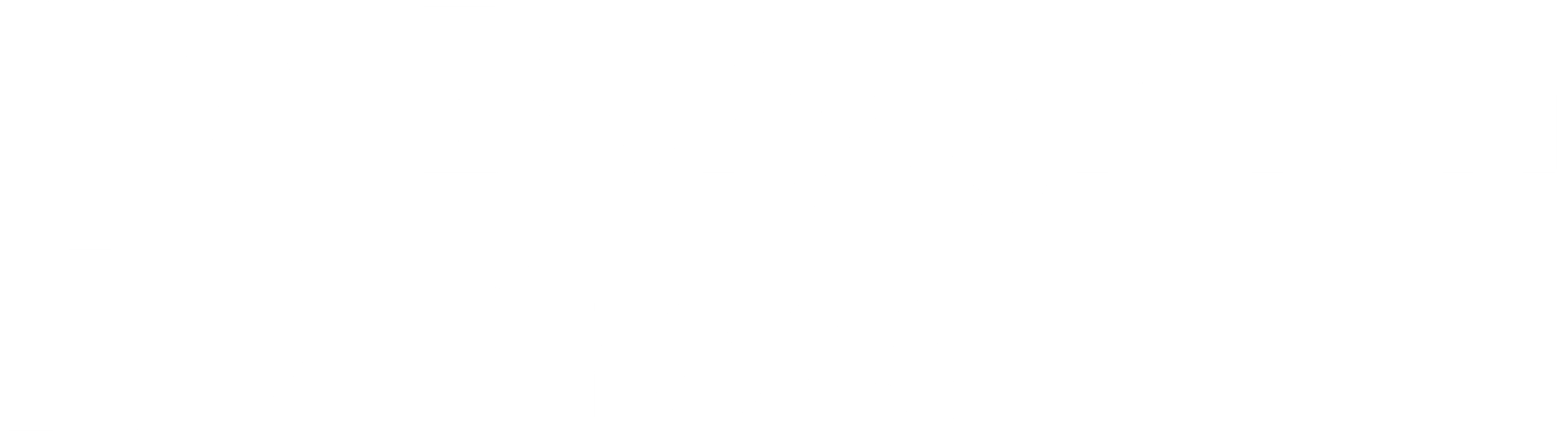 Berggruen Press