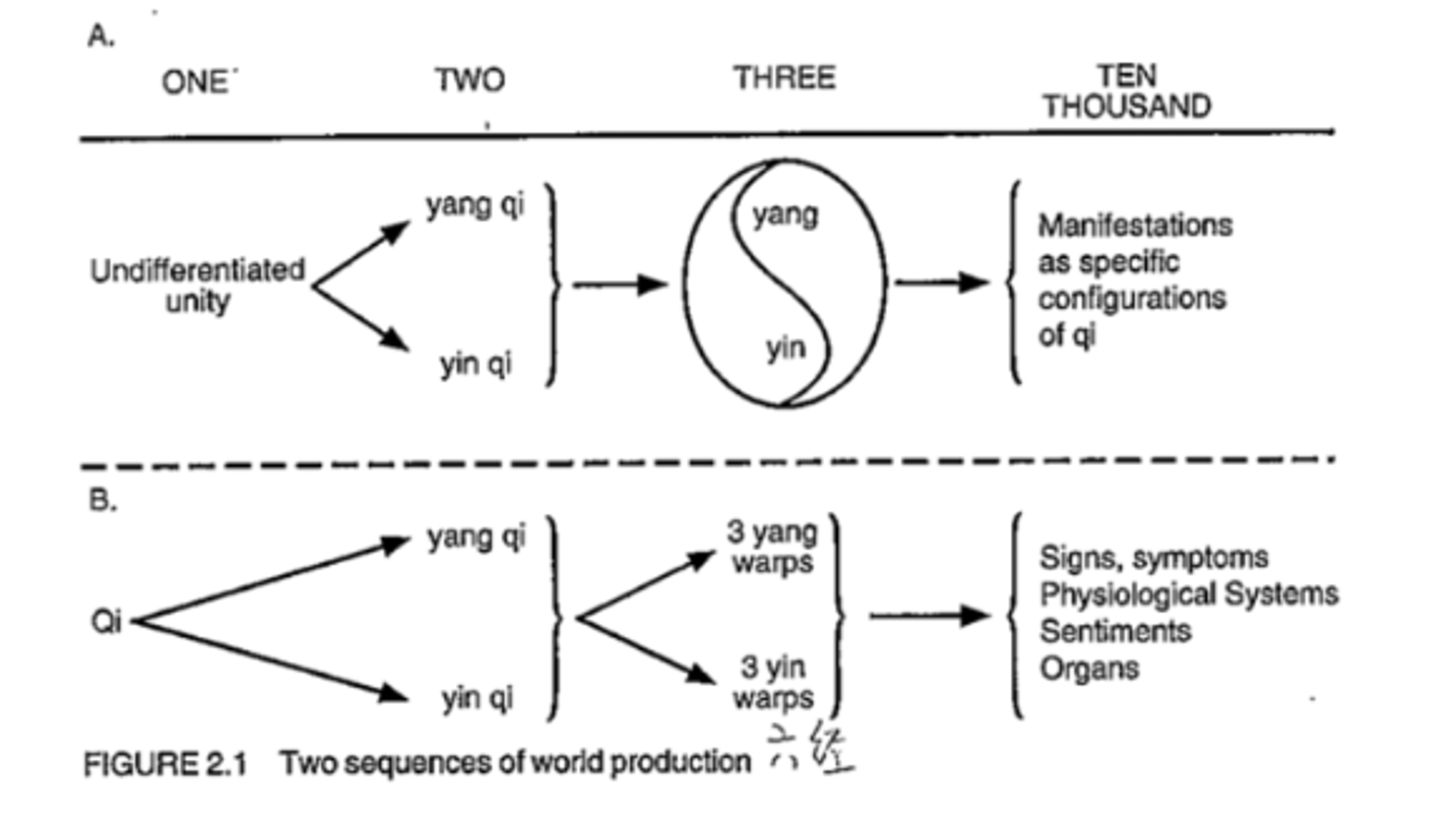 diagram from Judith Farquhar’s Knowing Practice: The Clinical Encounter of Chinese Medicine 