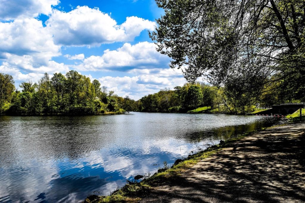 Sharon Lake at Sharon Woods
