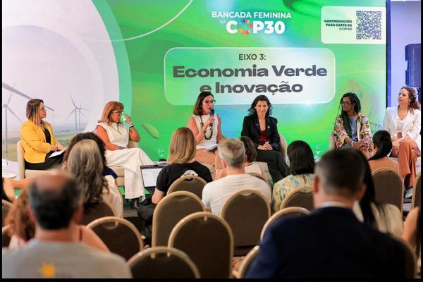 A Carta das Mulheres para a COP 30 pode te representar