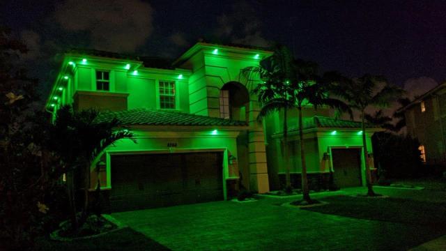 Parkland Green Down Lights