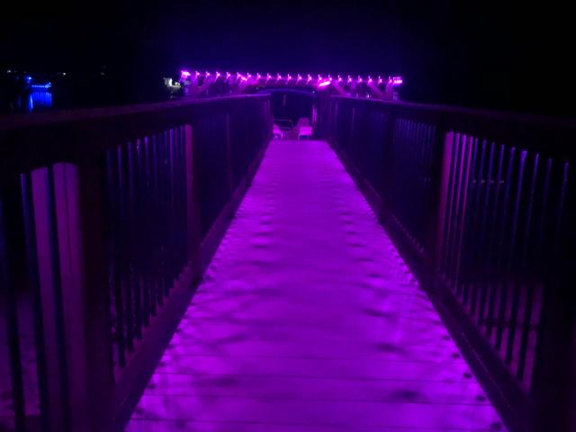 Walkway Magenta Downlight Night