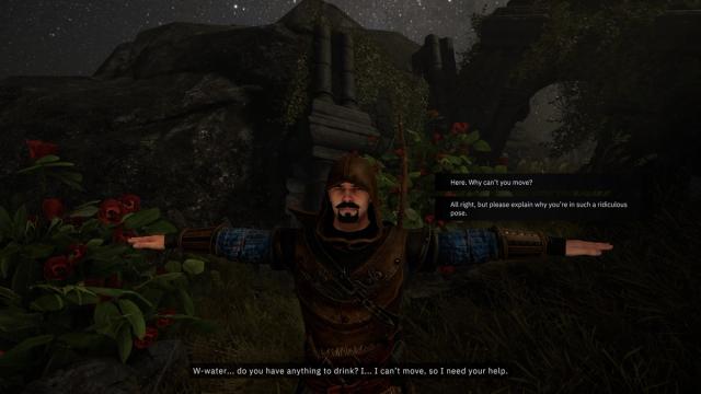 T posing quest
