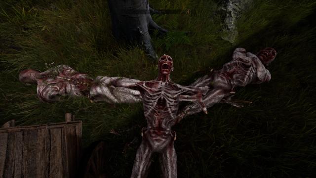 Silly devs