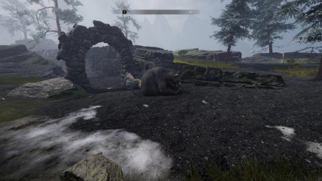 sad bear