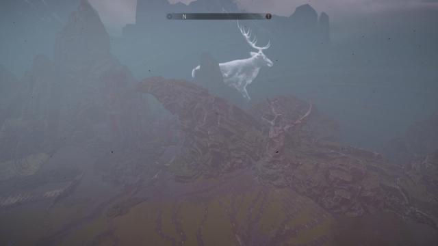 that's a normal deer
