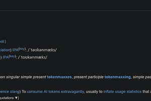Tokenmaxxing was the quickest reality check for out-of-touch corporate execs