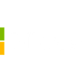 The biggest idiot of the AI bubble
