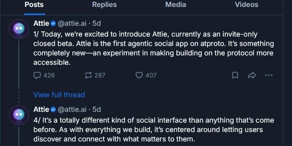 Bluesky's ultimate unforced tech own-goal