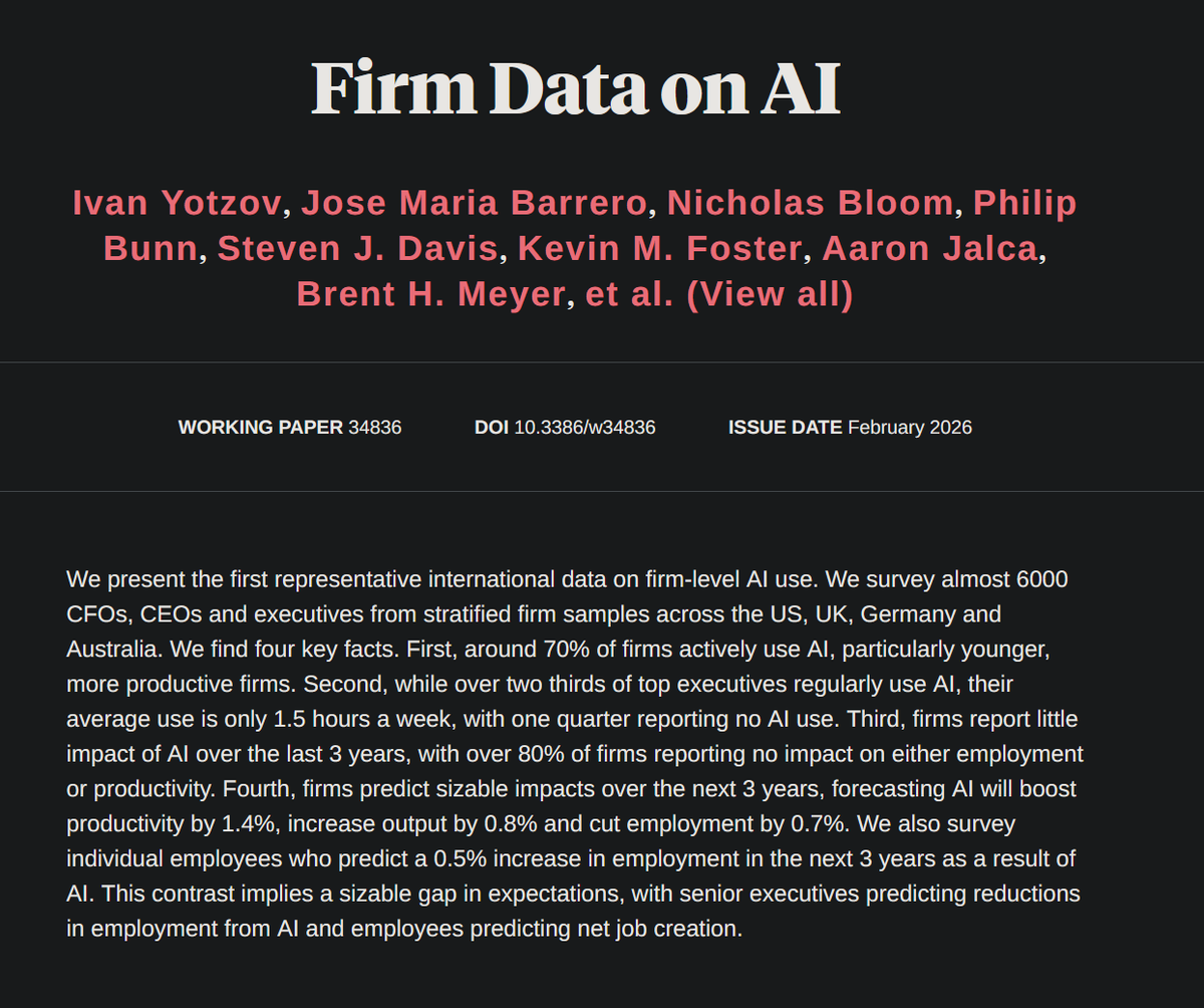 Summary of the 'Firm Data on AI' published papers from the official page.