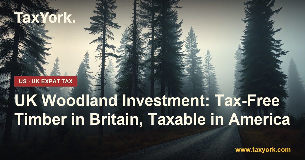 UK woodland investment — TaxYork US & UK expat tax specialists