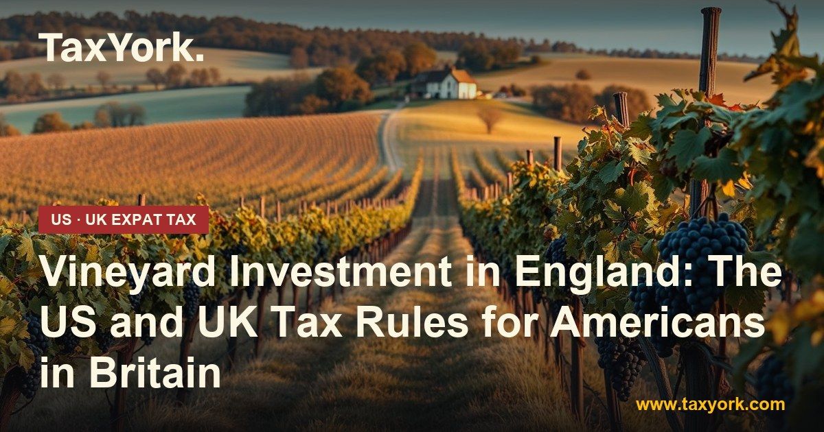 vineyard investment — TaxYork US & UK expat tax specialists