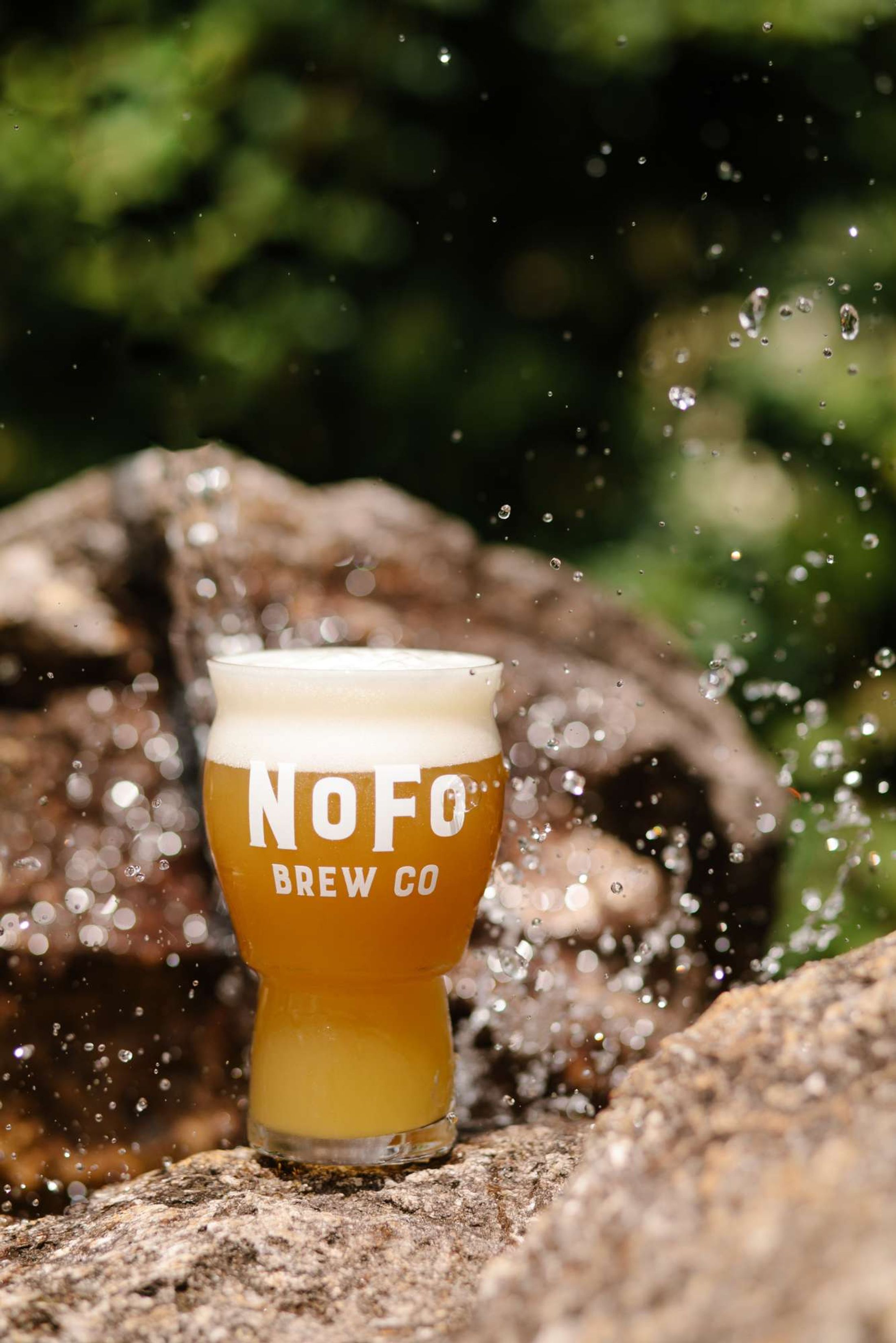 NoFo Brew Co
