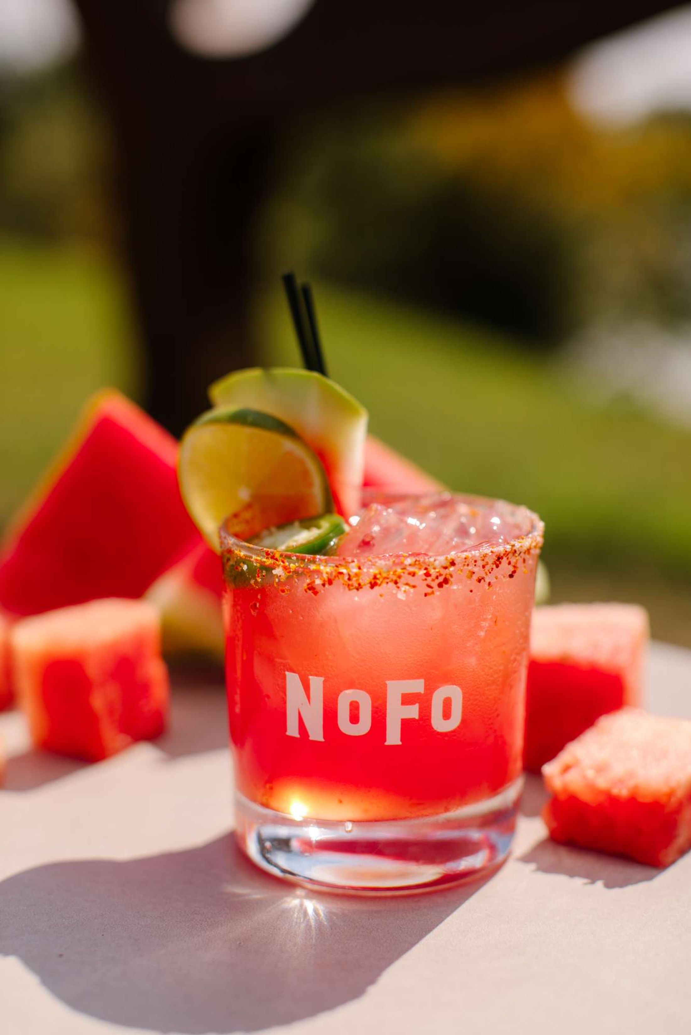 NoFo Brew Co
