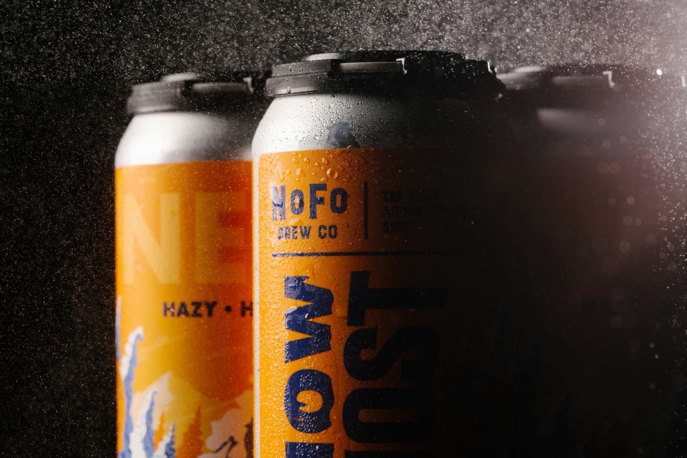 NoFo Brew Co