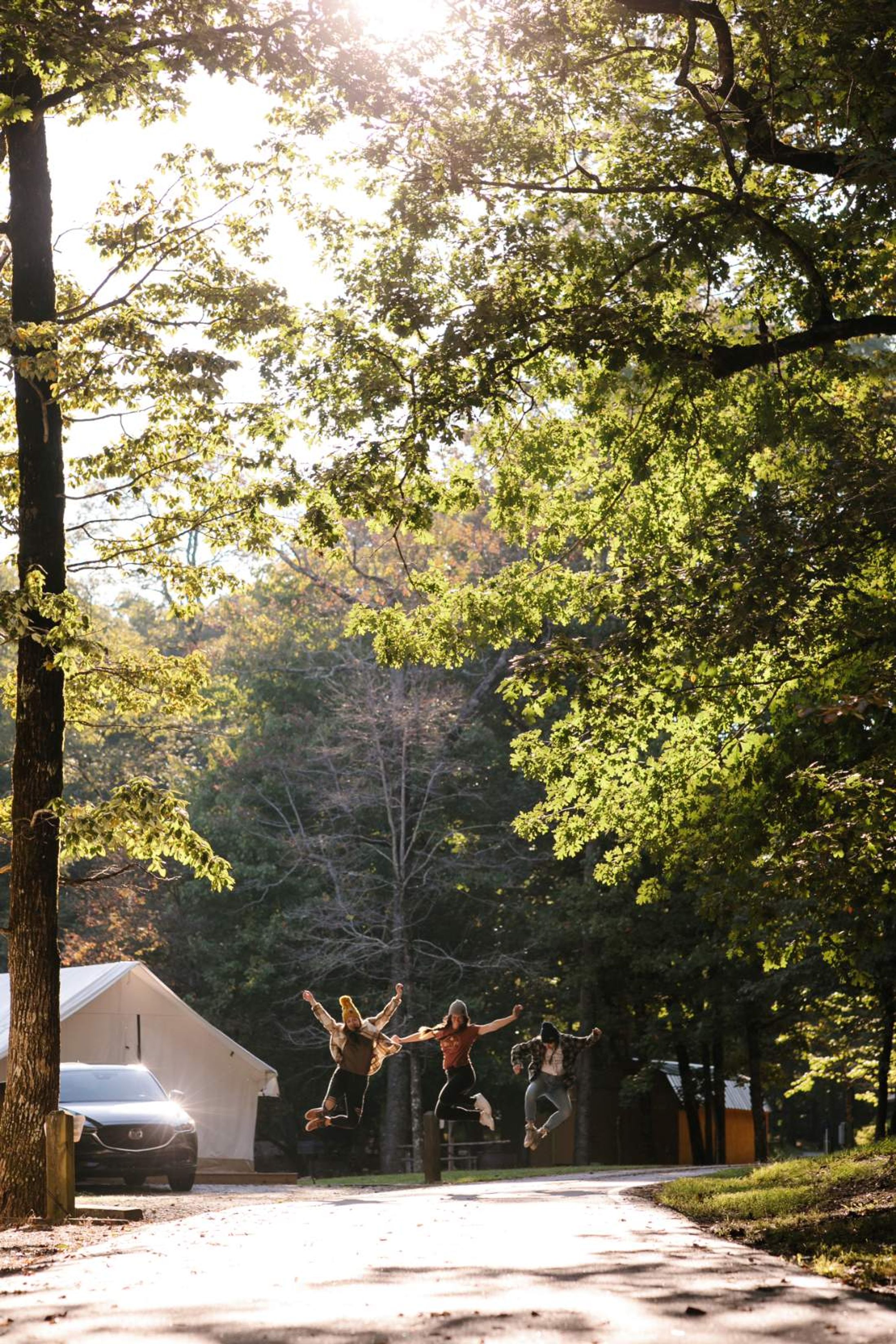 NoFo Brew Co – Tap Your Adventurous Side